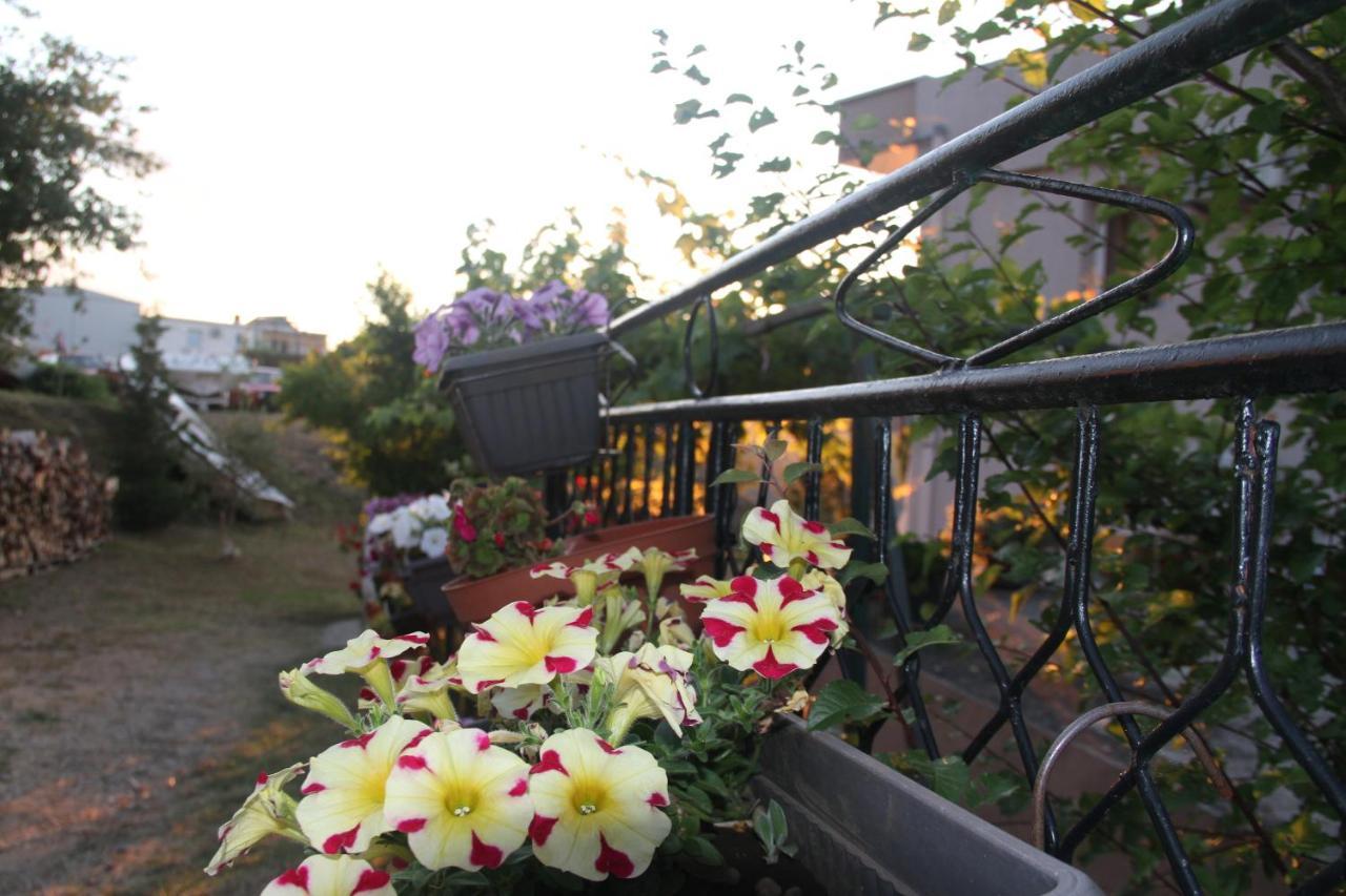 Guesthouse P&A Budva Exterior photo
