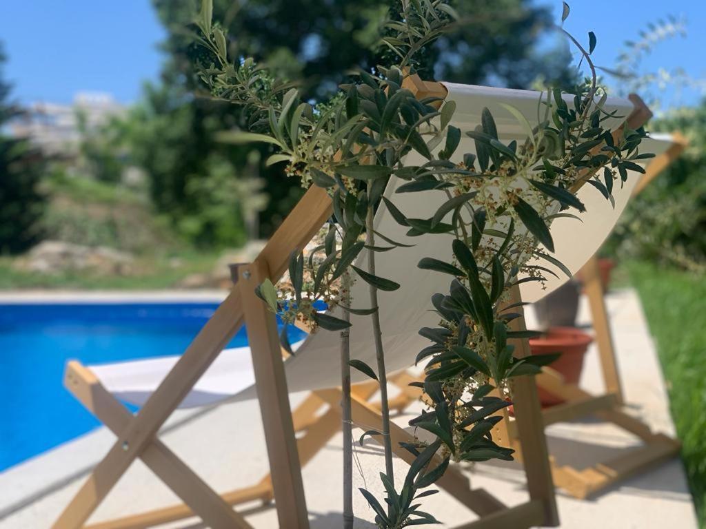 Guesthouse P&A Budva Exterior photo